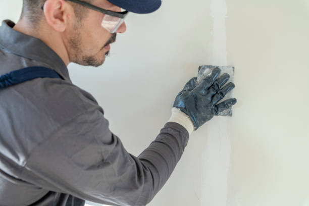 Professional Dry wall and painting in Holly Springs, GA